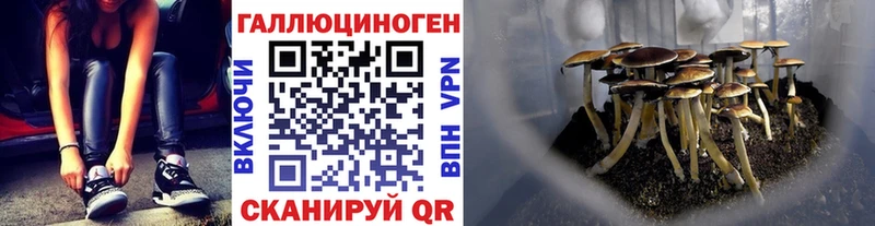 Галлюциногенные грибы Cubensis  даркнет официальный сайт  Обнинск 